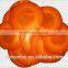 Popular beautiful hot design model as seen on TV Electrical mandoline slicer for vegetable processor