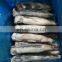 Wholesale frozen IQF squid WR fishing good quality