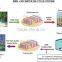 Sewage Treatment Plant Equipments