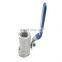 Stainless Steel BSP 1/4