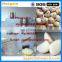 dry way garlic peeling machine/garlic peeler/garlic skin peeling machine