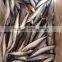 Frozen Pacific Mackerel Japanese Mackerel Fish WR