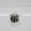 Handmade indoor decoration artificial ornamental plants/artificial plants and trees