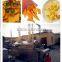 Automatic Fryer /peanut frying machine/continuous frying machine