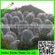 Virgin hdpe uv stable anti insect net/plastic insect mesh/plants cover net in rolls