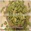 Sell Lady Nail Pumpkin Seeds Kernels Shine Skin Supplier