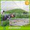 17~70g/m2 Biodegradable Weed Control PP Non Woven Weed Mat