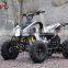 China Quad bike 250cc transmission ATV 250cc ATV Quad Diesel racing quad bike ATV