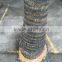 New style factory price fake tree