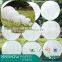 China Party decoration white Best selling japanese lampionnen                        
                                                Quality Choice