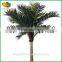 Outdoor artificial coconut palm tree customized artificial coconut tree