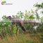 Outdoor playground animatronic t rex dinosaur