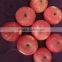 Fresh Red Fuji Apple Red Fuji Gold delicious green apples