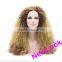 Curly Afro Wigs for Black Women Afro Short Kinky Curly Synthetic Wigs
