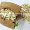 AA Shine Skin Pumpkin Seeds With Market Price