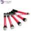 New design custom plastic brush 5 pcs makeup brush set