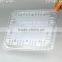 1000g Cherry disposable Plastic Fruit Container Supplier