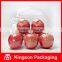 Unique Clamshell Packaging for 8pcs Fresh Apple