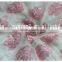 Fashion Pink Floral Embroidered Guipure Lace Fabric 2016 Cord Lace with Stones