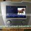 Extracorporeal Equine Veterinary shock wave therapy equipment for horses