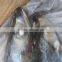 Sea Frozen Mackerel (frozen on boat) 300-500g