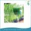 2015 Healthy Vegetable powder- organic barley grass powder