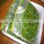 2016 crop China Frozen salted wakame seaweed good quality