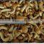 IQF mushroom nameko whole