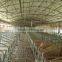 single stall of pigsty /swinery for cow