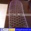 Wire netting,galvanized wire netting,pvc coated wire netting(ISO9001,CE,SGS)