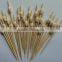 High Quality Bamboo Knot Craft Skewer Wholesale