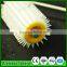 Wholesale High quality Plastic bee honey propolis collector uncapping