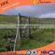 Hot sale hign tensile cattle field electric fence suppliers