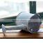 Top Seller Indoor Decorative Antique Garden Metal Watering Can for Home Deco