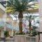 fake tree wholesale plastic indoor/outdoor hot sale factory decoration artificial palm tree