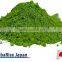 Japanese Green Tea Powder Organic Matcha Powder produced in Uji Kyoto OEM available