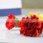 flower Type natural fresh cut flowers carnations price to workmates