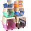 Plastic anti-skip pet transport case carrier with strong PP ABS