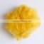 Recycled polyester staple fibre dyed