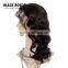 7A Grade Unprocessed Brazilian Virgin Hair Brazilian Body Wave Lace Front Human Hair Wigs