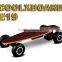 800W Electric Powered Skateboard