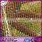 pp mesh bag plastic onion/fruit mesh bag 50*80cm packing vegetable