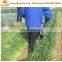 Small type chinese chives harvester machine for sale celery parsley reaping machine