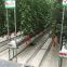 Hydroponic Greenhouse for Stone Wool Tomato Cultivation