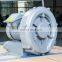 Vacuum Pump Air Ring Blower RB750