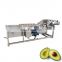 industrial fruit sterilizing air bubble washing machine for washing apple mango citrus