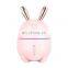 Cool Mist Aromatherapy Essential Oil Ultrasonic Aroma USB Car Diffuser Air Humidifier