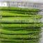 Hot Selling 500g/1kg/2kg/10kg/20kg Green or White Chopped Mixed Vegetables Convenient