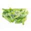 Sinocharm BRC A Approved W5-7MM IQF Sliced Green Pepper Strips Frozen Bell Peppers