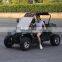 New Cars Electric or Gas or Petrol Vehicle Carrors 4 Wheels Made In China For Adults Mini Electric Jeep Car With CE Certificate
